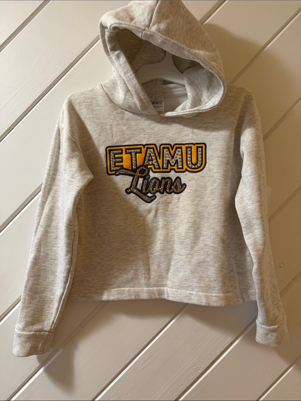 Hanes Light Heather Gray ETAMU Lions Hooded Sweatshirt